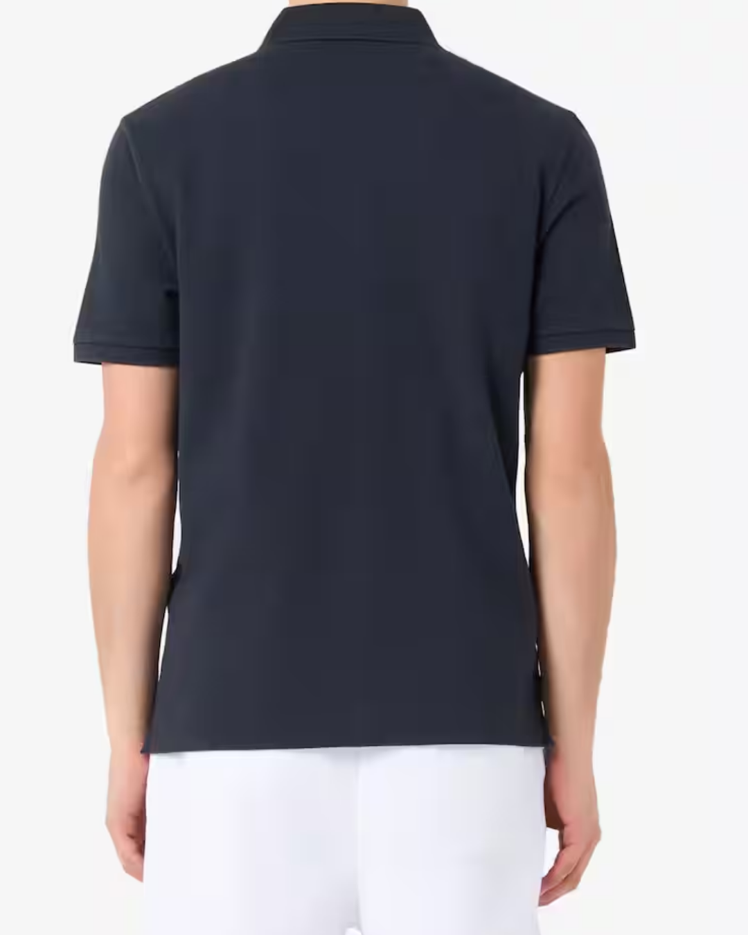 ALBANO  POLO|Colore:888